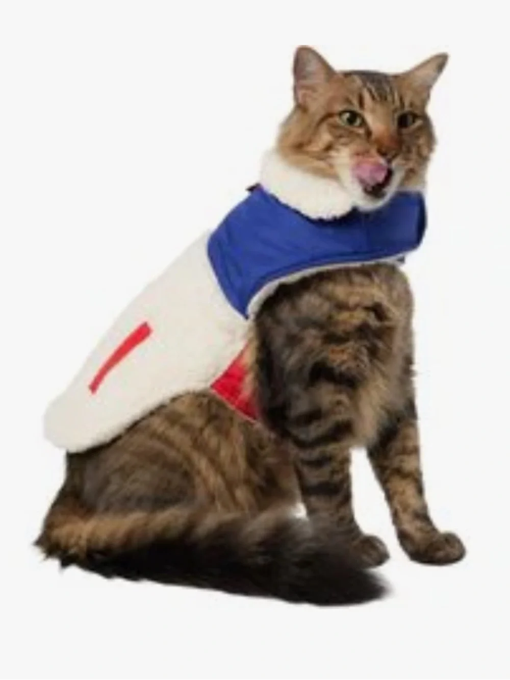 NWOT Frisco Medium Weight Retro Colorblock Mixed Media Dog & Cat Coat - Small